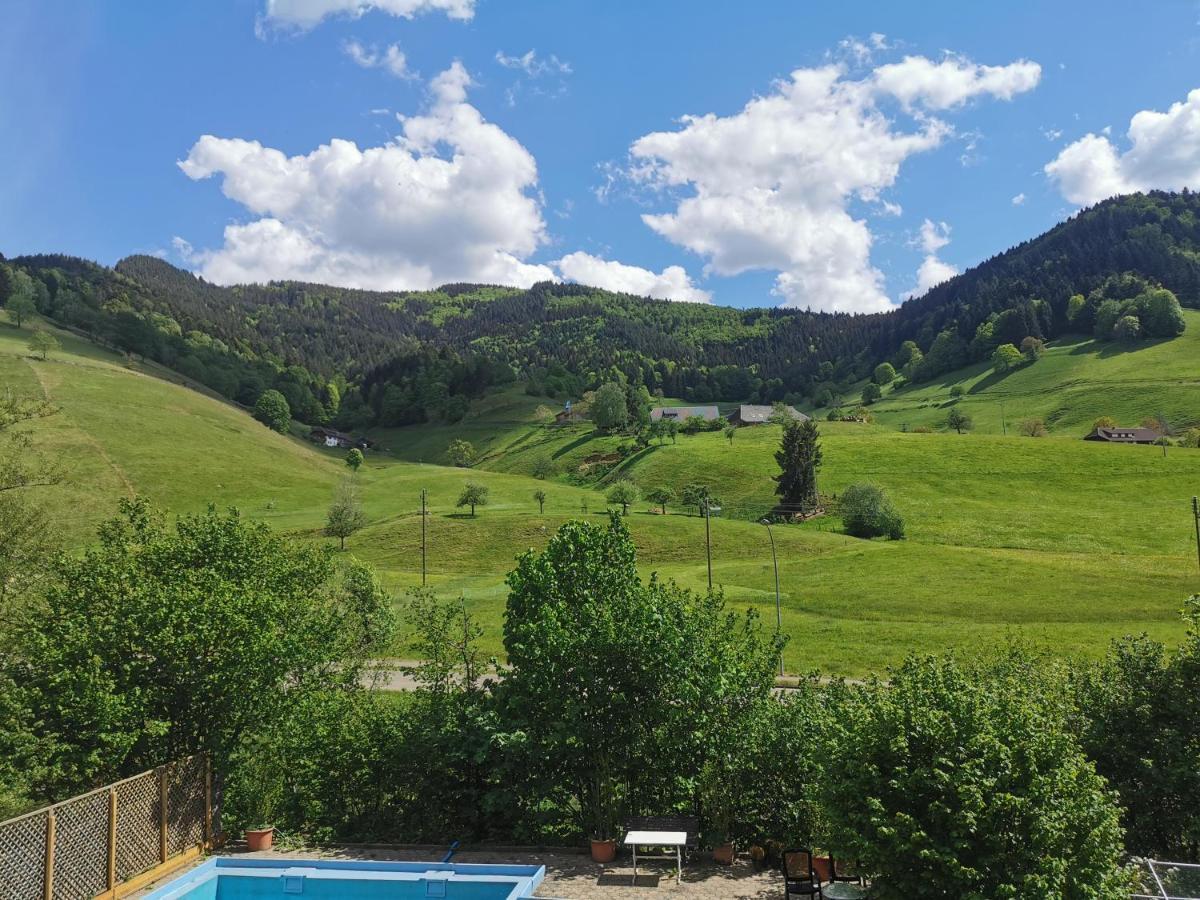 Ferienwohnung Vogelsang Im Schwarzwald Münstertal Esterno foto