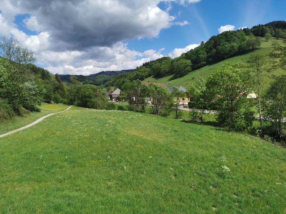 Ferienwohnung Vogelsang Im Schwarzwald Münstertal Esterno foto