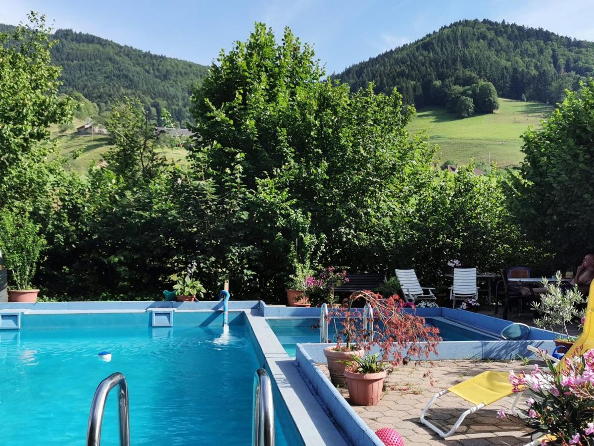 Ferienwohnung Vogelsang Im Schwarzwald Münstertal Esterno foto