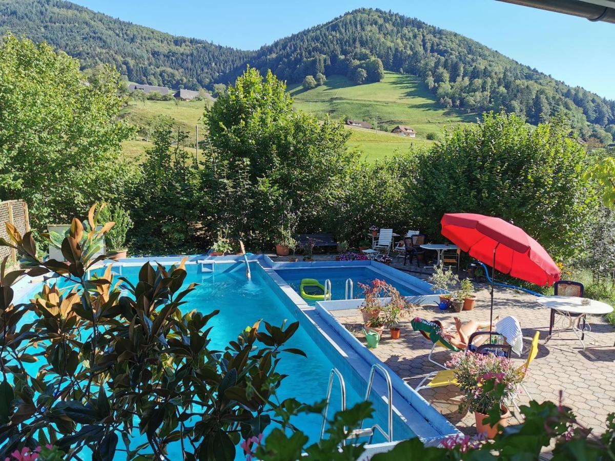 Ferienwohnung Vogelsang Im Schwarzwald Münstertal Esterno foto