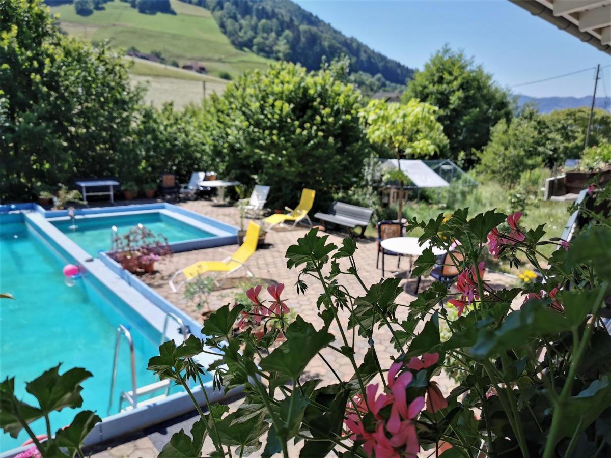 Ferienwohnung Vogelsang Im Schwarzwald Münstertal Esterno foto