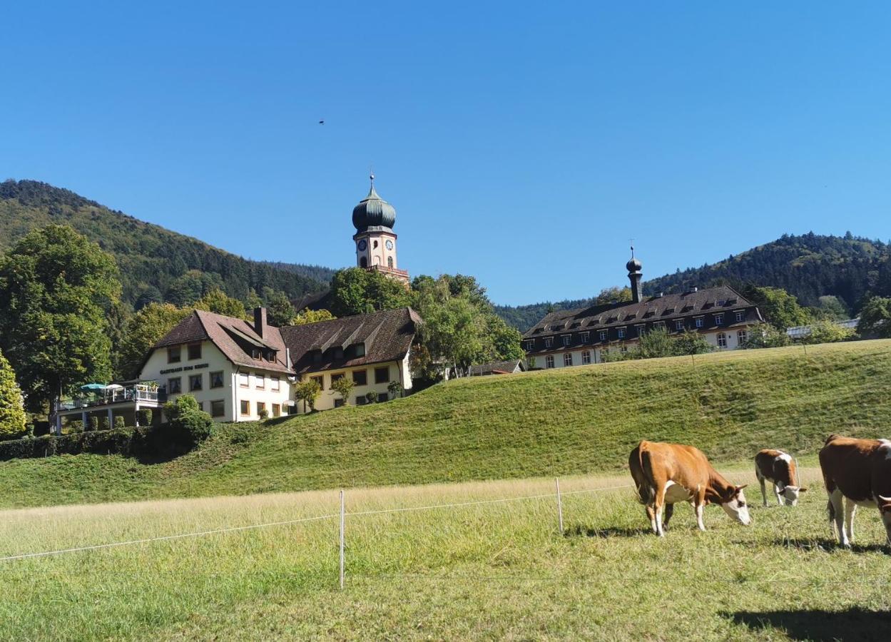 Ferienwohnung Vogelsang Im Schwarzwald Münstertal Esterno foto