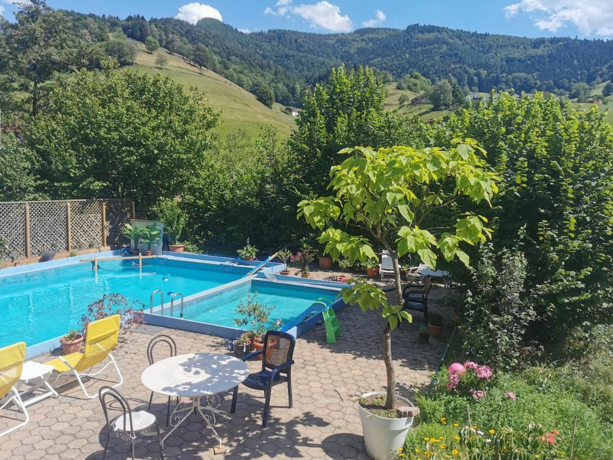 Ferienwohnung Vogelsang Im Schwarzwald Münstertal Esterno foto