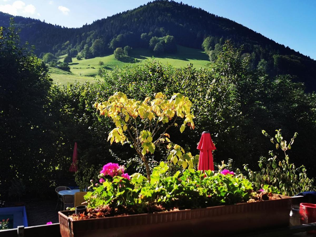 Ferienwohnung Vogelsang Im Schwarzwald Münstertal Esterno foto