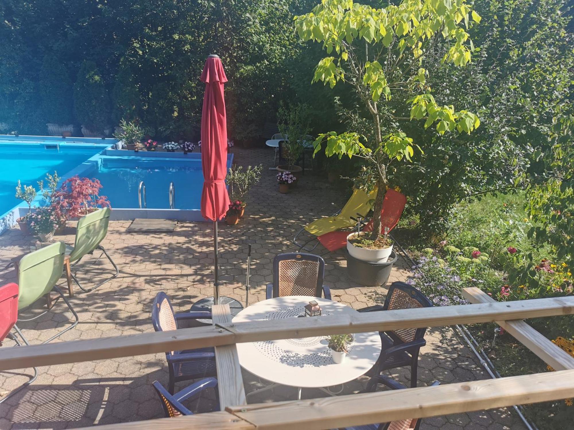 Ferienwohnung Vogelsang Im Schwarzwald Münstertal Esterno foto