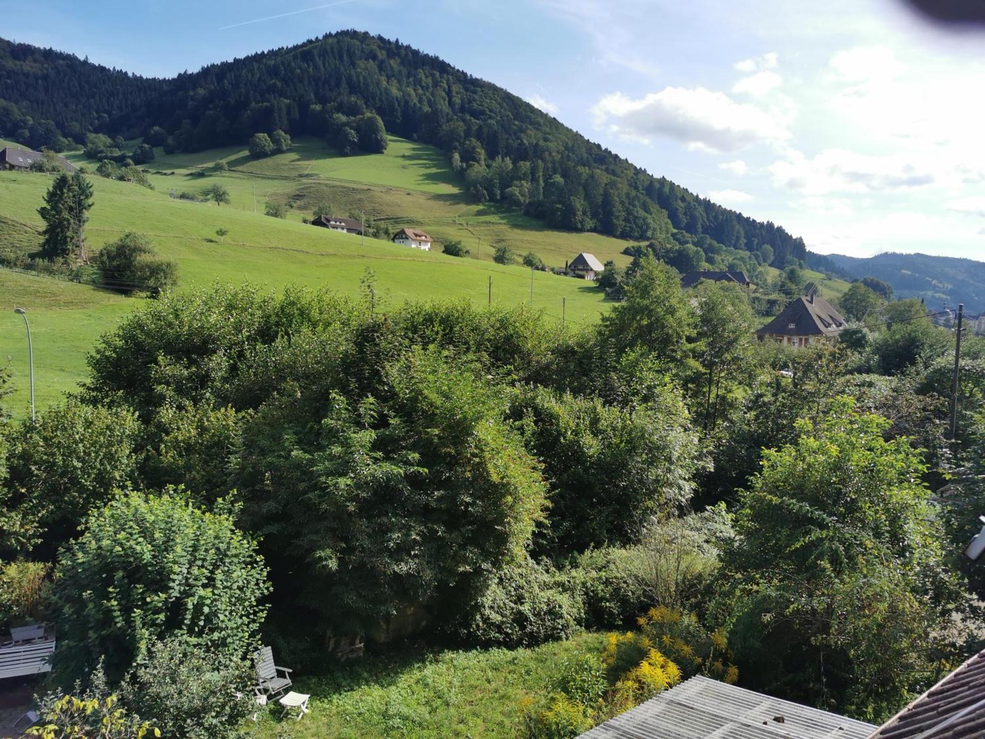 Ferienwohnung Vogelsang Im Schwarzwald Münstertal Esterno foto
